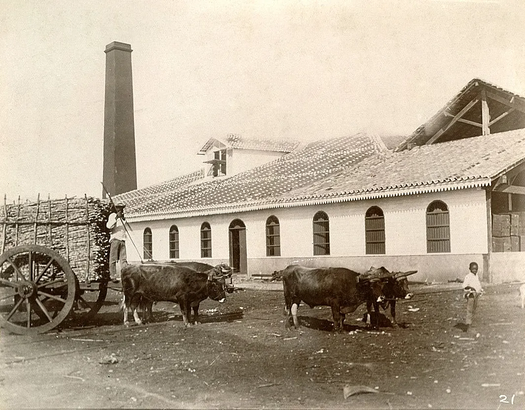 Sugar and ethanol mill